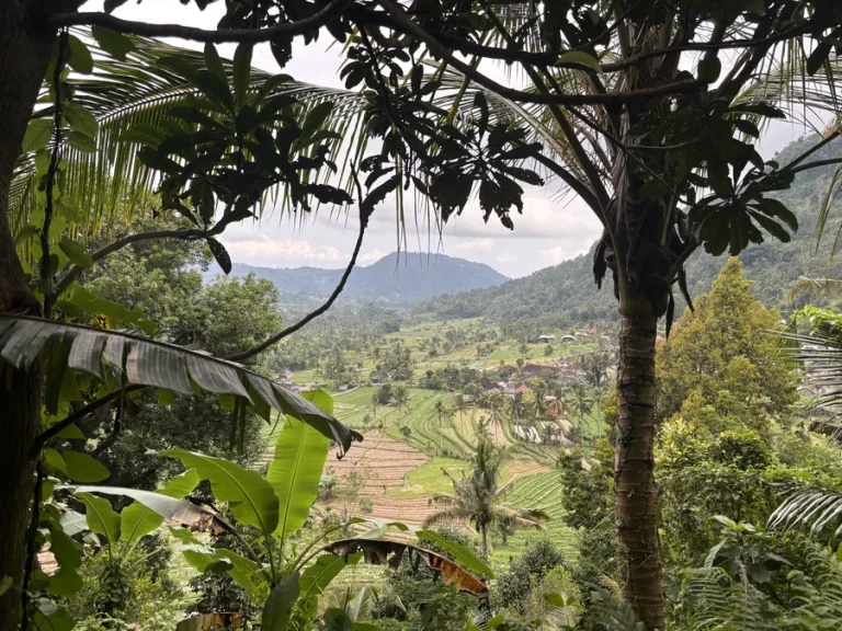Arrozales en terrazas en Sidemen, en el interior de Bali, incluidos en una ruta por Bali en 10 días