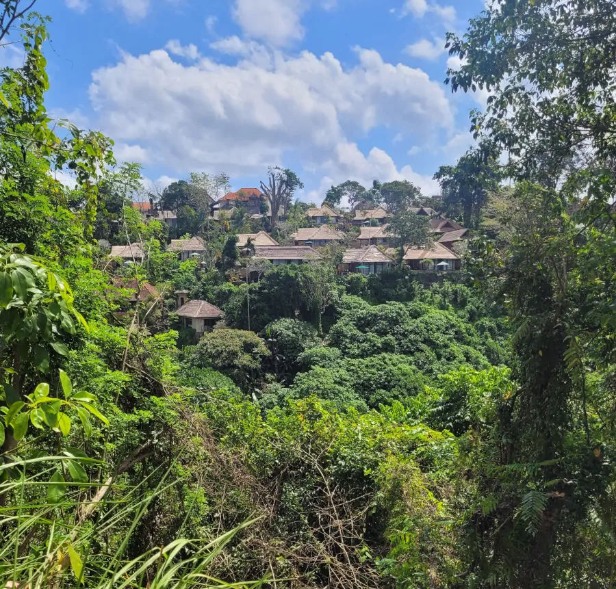 Paisaje de selva tropical y villas en Ubud durante el recorrido por Campuhan Ridge Walk