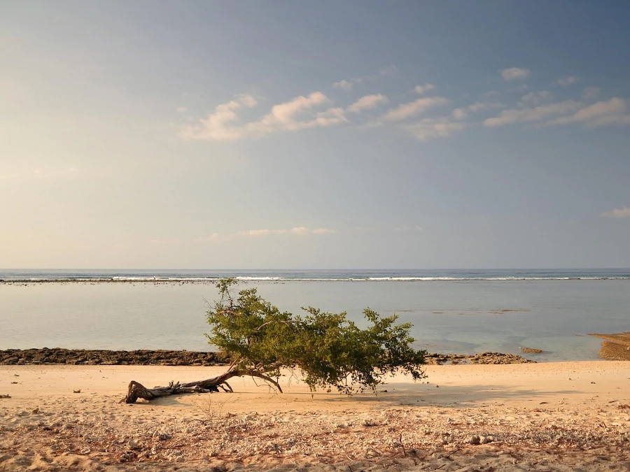 playa tranquila en Gili Meno con arena y mar en calma al atardecer