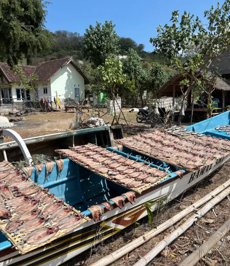 Pescado secándose al sol sobre rejillas en un barco en Gili Gede, Lombok